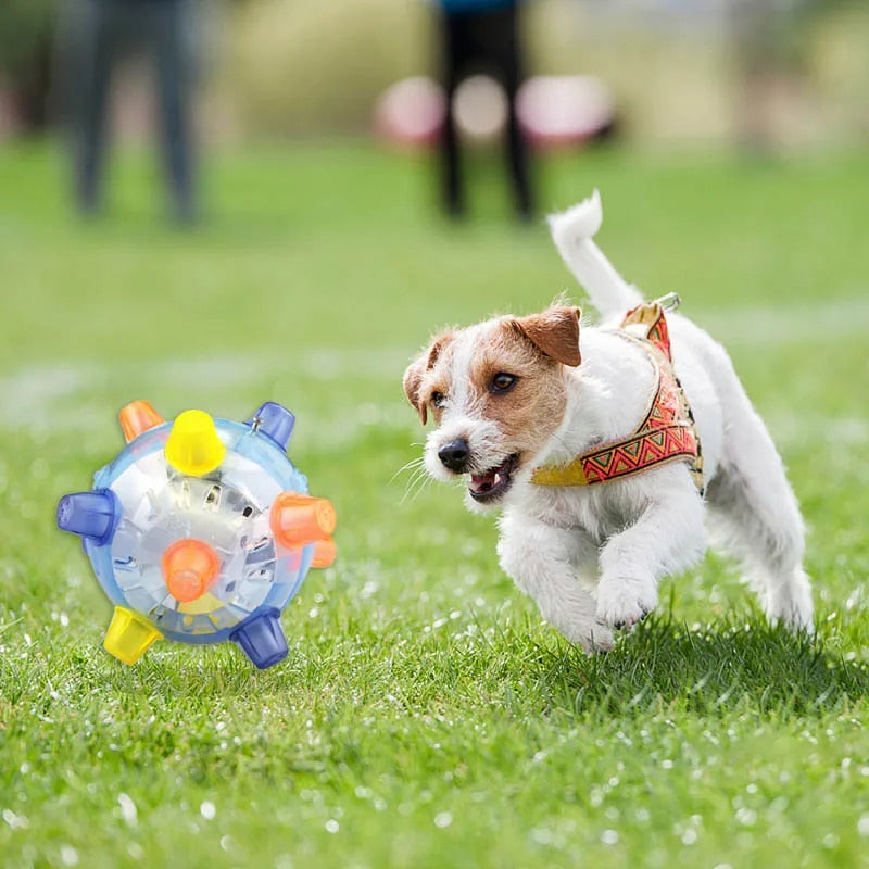 Sherum Pet Ball  Endless Entertainment for Your Furry Friend!