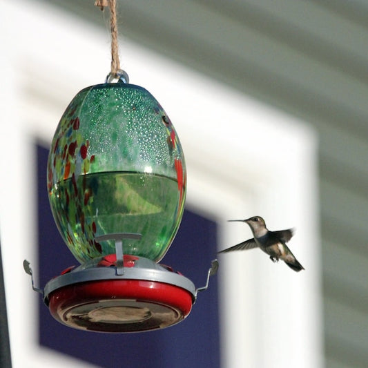Hummingbird Feeder Hand Blown Glass - 25 Ounces