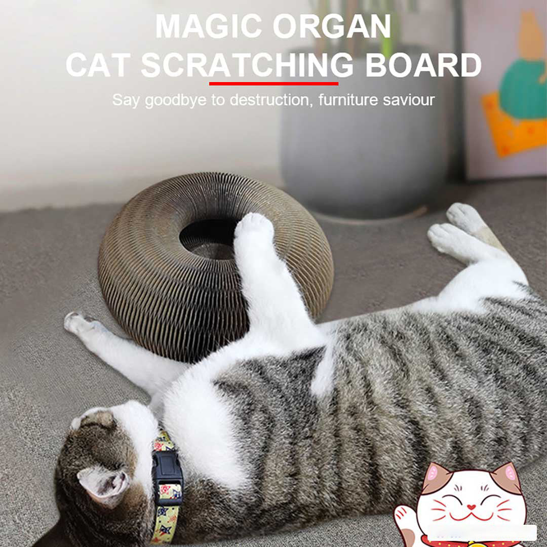 Sherum Magic Organ Cat Scratch Board.