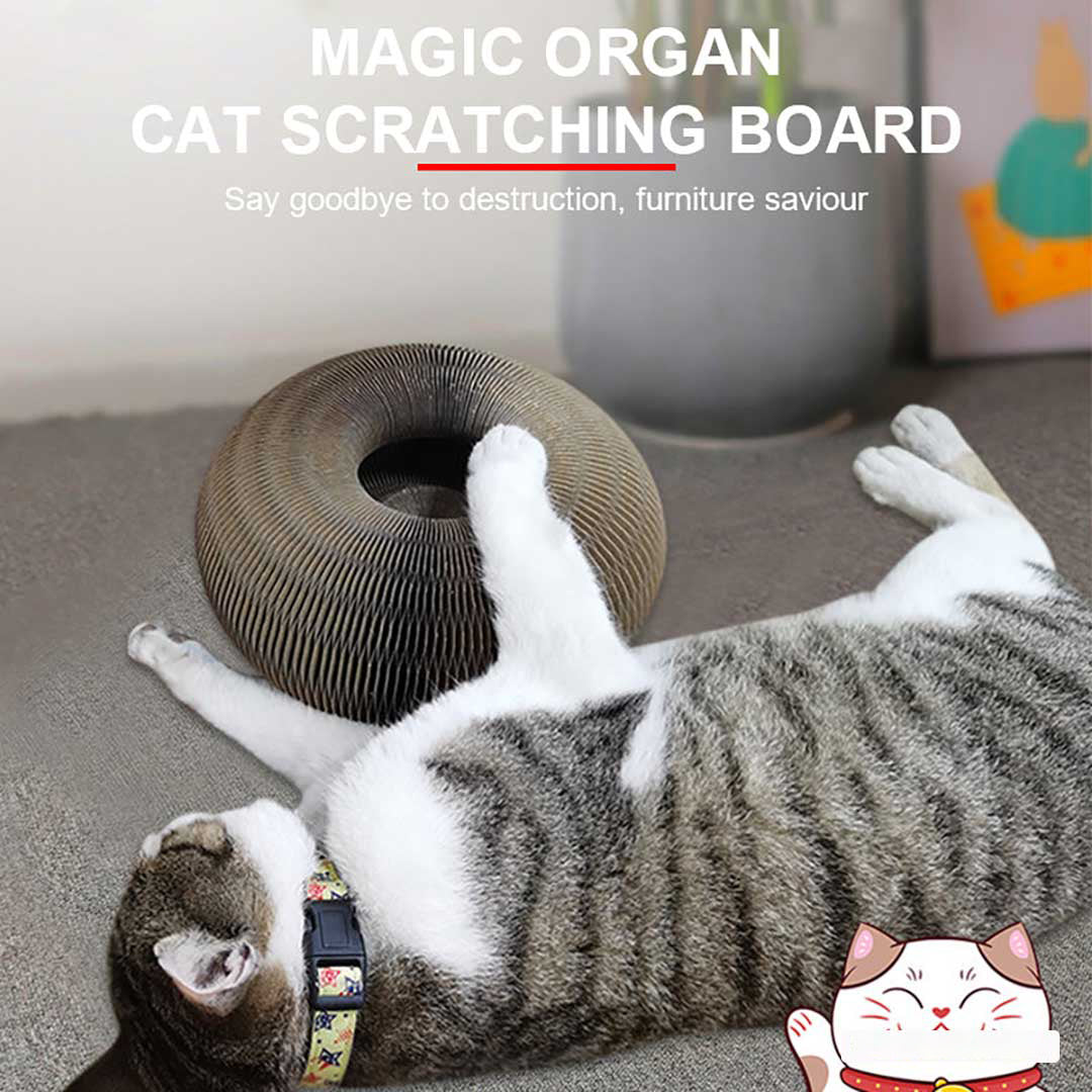 Sherum Magic Organ Cat Scratch Board.