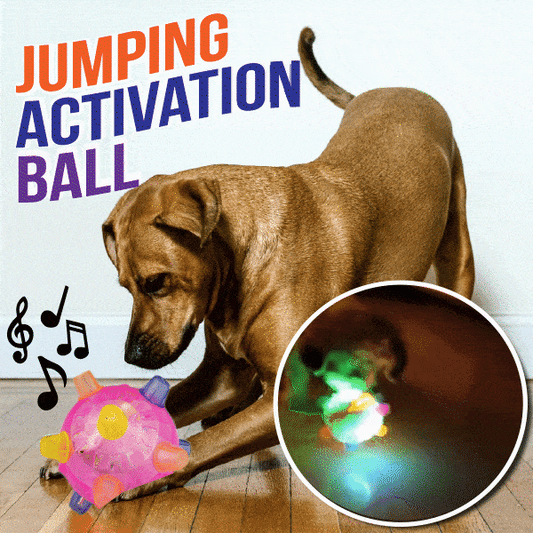 Sherum Pet Ball  Endless Entertainment for Your Furry Friend!